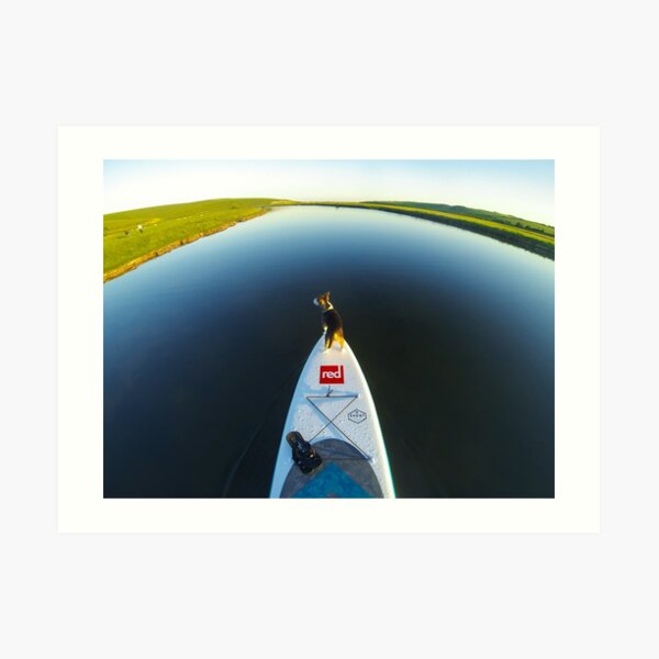 Dog standing on front of a SUP Art Print