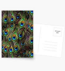 Peacock Feathers Invasion Postcards