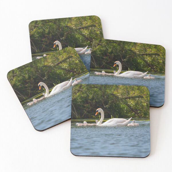Item preview, Swan family designed and sold by Araveen-Photo.