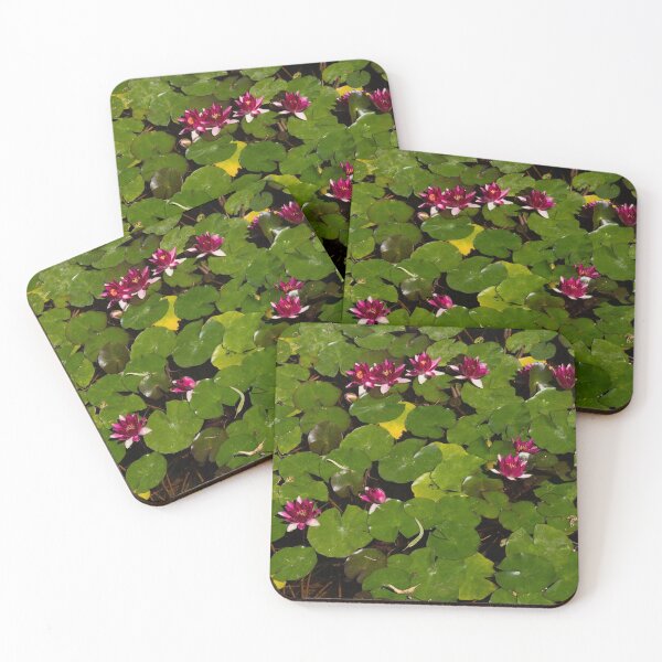 Item preview, Vivid Fuchsia Waterlilies - a Mediterranean Delight from Barcelona designed and sold by Georgia Mizuleva.