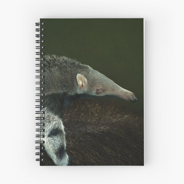 Item preview, Giant Anteater Baby designed and sold by rawshutterbug.