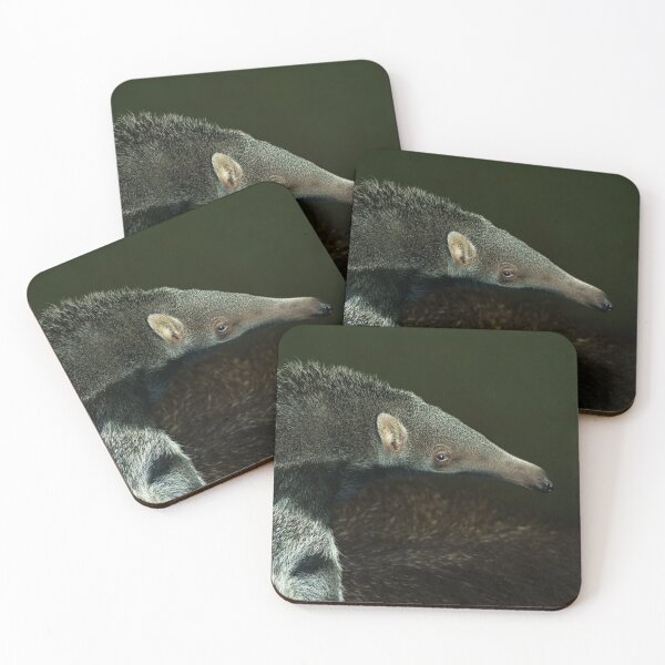 Item preview, Giant Anteater Baby designed and sold by rawshutterbug.