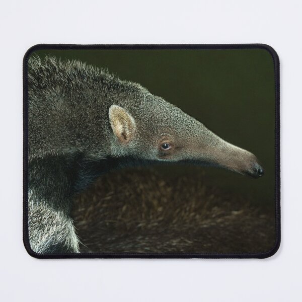 Item preview, Giant Anteater Baby designed and sold by rawshutterbug.