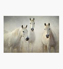 0129 Three whites - Reworked Photographic Print