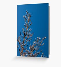 Mother Nature Christmas Decorations - Gleaming Icy Baubles in Blue Greeting Card