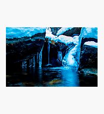 Birch Creek 2014 Photographic Print