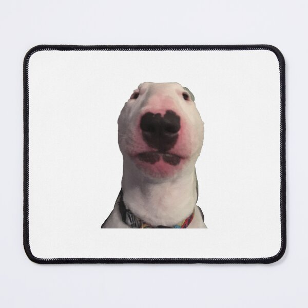 Item preview, Cursed Dog Sticker designed and sold by nicole7e.