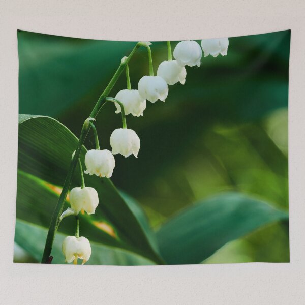 Item preview, Deep in the forests. Lily of the valley designed and sold by Jouko Lehto Photography.