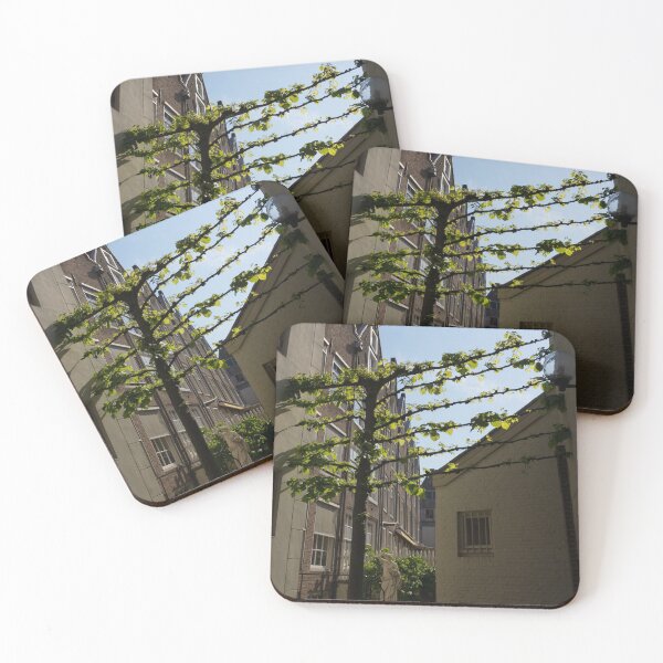 Item preview, Any Space Can Be a Garden - Creative Urban Gardening From Amsterdam designed and sold by Georgia Mizuleva.