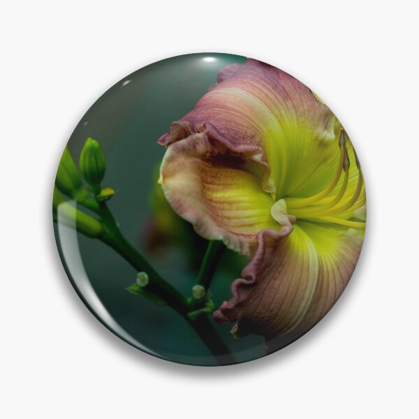Item preview, Daylily "Wisteria" designed and sold by Michael Cummings.