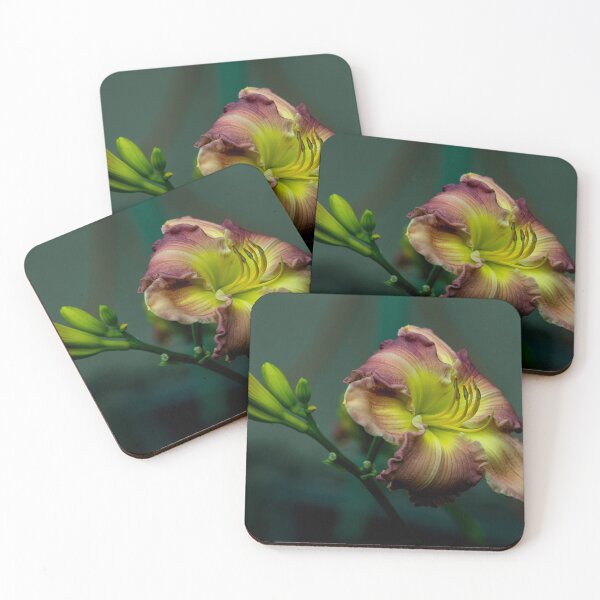 Item preview, Daylily "Wisteria" designed and sold by Michael Cummings.