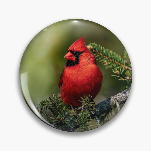 Item preview, Northern Cardinal designed and sold by Michael Cummings.