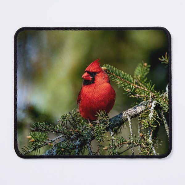 Item preview, Northern Cardinal designed and sold by Michael Cummings.