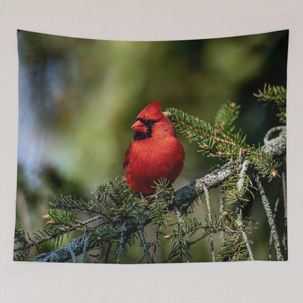 Item preview, Northern Cardinal designed and sold by Michael Cummings.