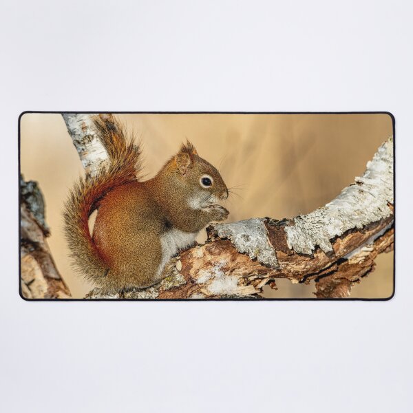 Item preview, Red Squirrel designed and sold by Michael Cummings.
