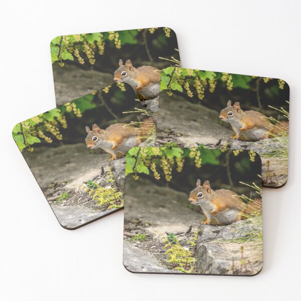 Item preview, Red Squirrel designed and sold by Michael Cummings.