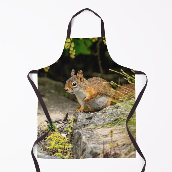 Item preview, Red Squirrel designed and sold by Michael Cummings.