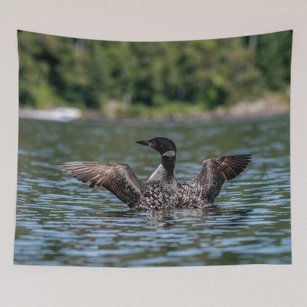 Item preview, Common Loon Wing Spread designed and sold by Michael Cummings.