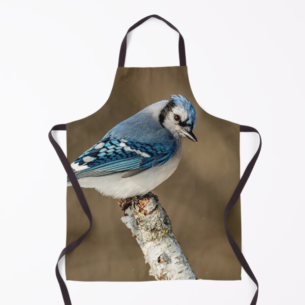 Artikelvorschau, Blue Jay entworfen und verkauft von Michael Cummings.