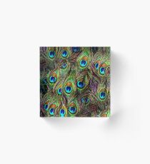 Peacock Feathers Invasion Acrylic Block