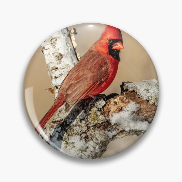 Item preview, Cardinal On Birch Branch designed and sold by Michael Cummings.