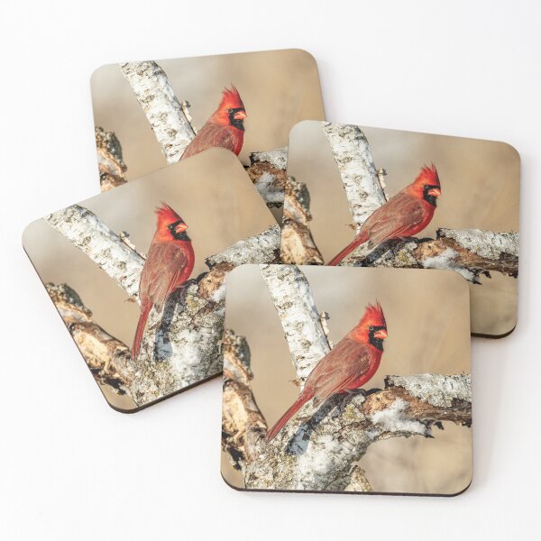 Item preview, Cardinal On Birch Branch designed and sold by Michael Cummings.