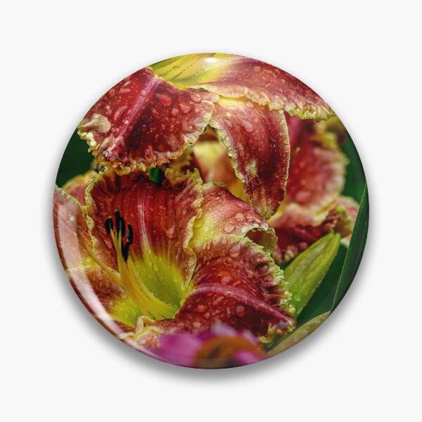 Item preview, Startle Daylily designed and sold by Michael Cummings.