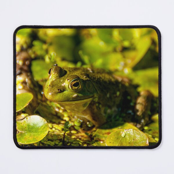 Item preview, Frog Among Lily Pads designed and sold by Michael Cummings.
