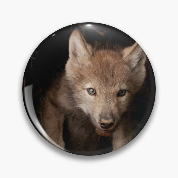 Item preview, Eastern Wolf Pup designed and sold by Michael Cummings.