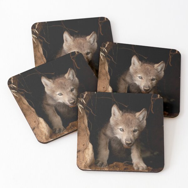 Item preview, Eastern Wolf Pup designed and sold by Michael Cummings.