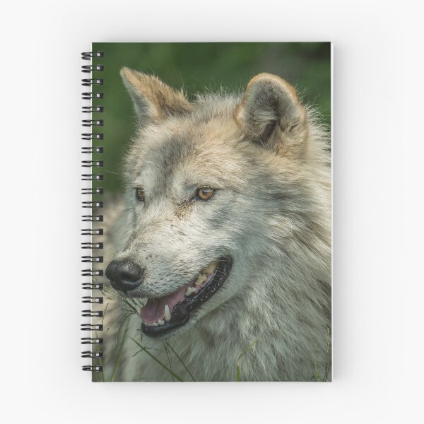 Item preview, Arctic Wolf Portrait designed and sold by Michael Cummings.