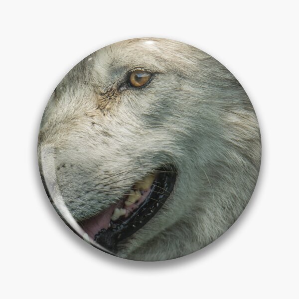 Item preview, Arctic Wolf Portrait designed and sold by Michael Cummings.