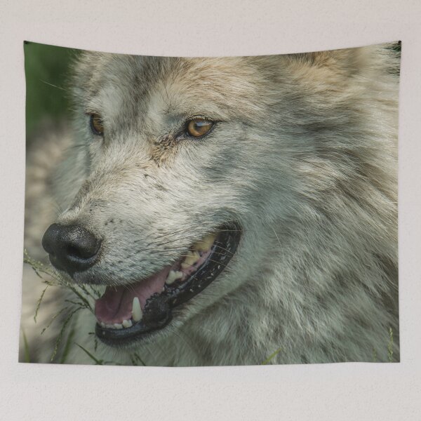 Item preview, Arctic Wolf Portrait designed and sold by Michael Cummings.