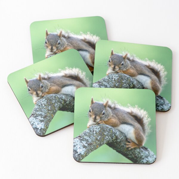 Item preview, Red Squirrel designed and sold by Michael Cummings.