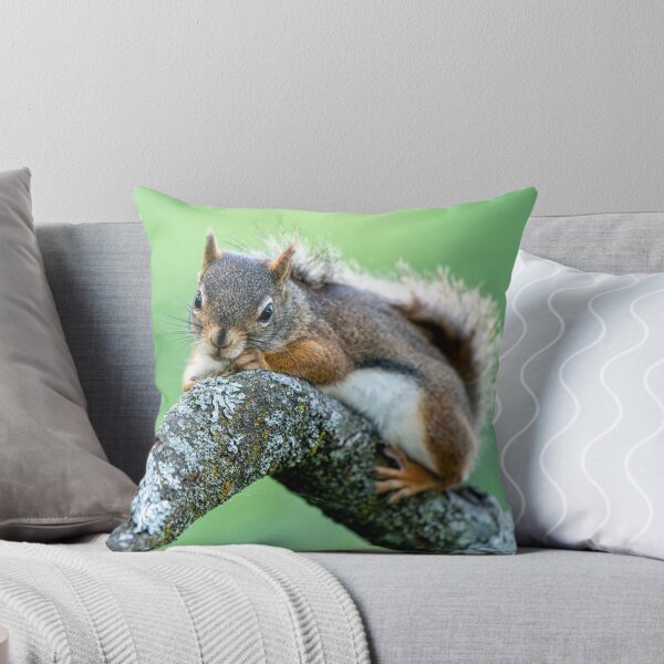 Item preview, Red Squirrel designed and sold by Michael Cummings.