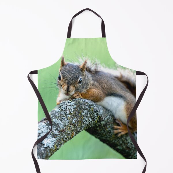 Item preview, Red Squirrel designed and sold by Michael Cummings.