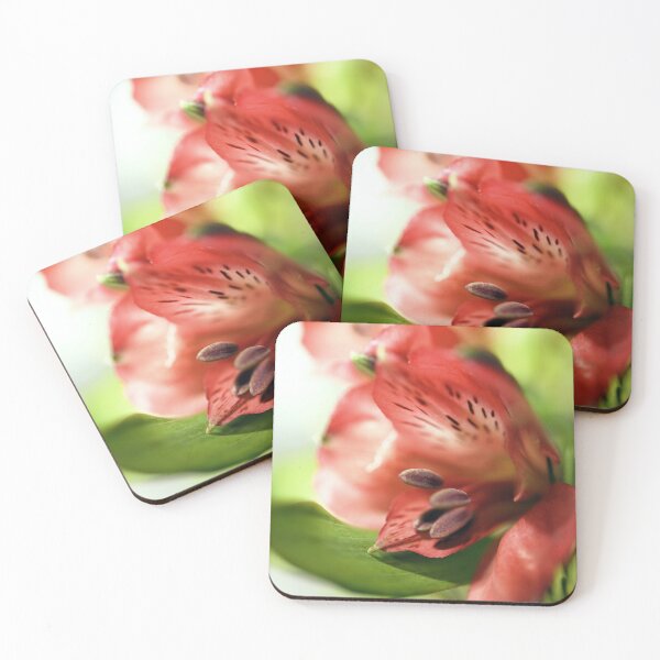 Item preview, Alstroemeria, Peruvian Lily designed and sold by imaginethis.