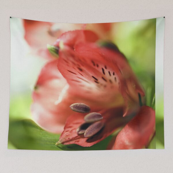Item preview, Alstroemeria, Peruvian Lily designed and sold by imaginethis.