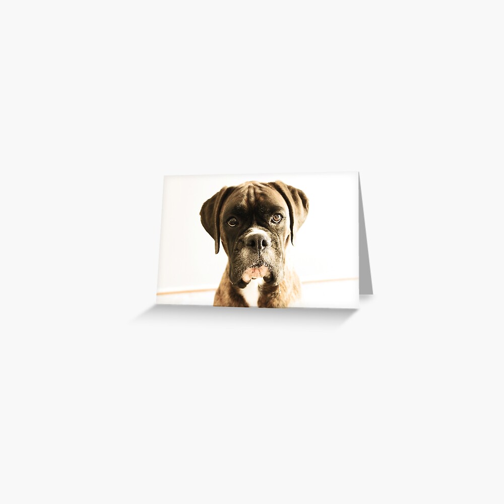 "The Meaning Of Life You AsK? Boxer Dogs Series" Greeting Card by