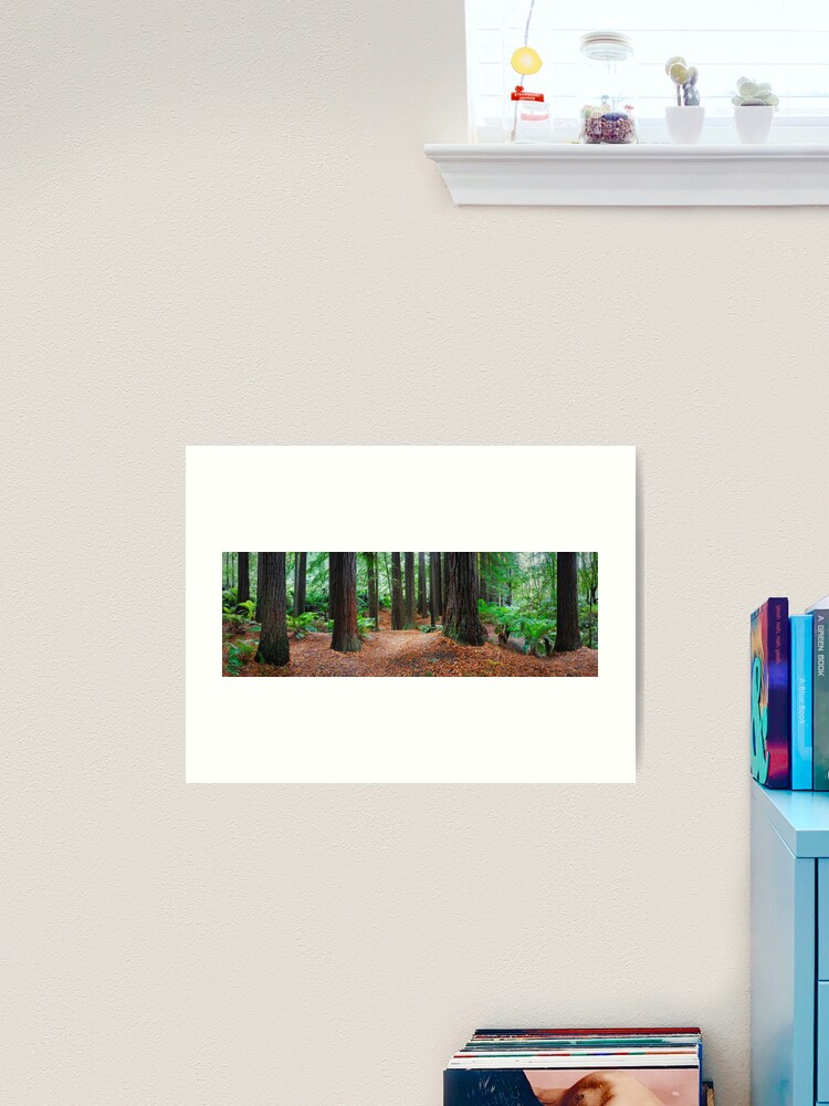 Thumbnail 2 of 3, Art Print, Redwood Forest, Otways, Great Ocean Road, Victoria, Australia designed and sold by Chockstone.
