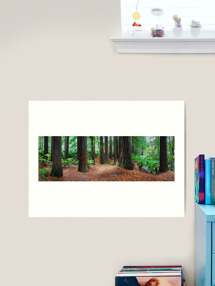 Thumbnail 2 of 3, Art Print, Redwood Forest, Otways, Great Ocean Road, Victoria, Australia designed and sold by Chockstone.