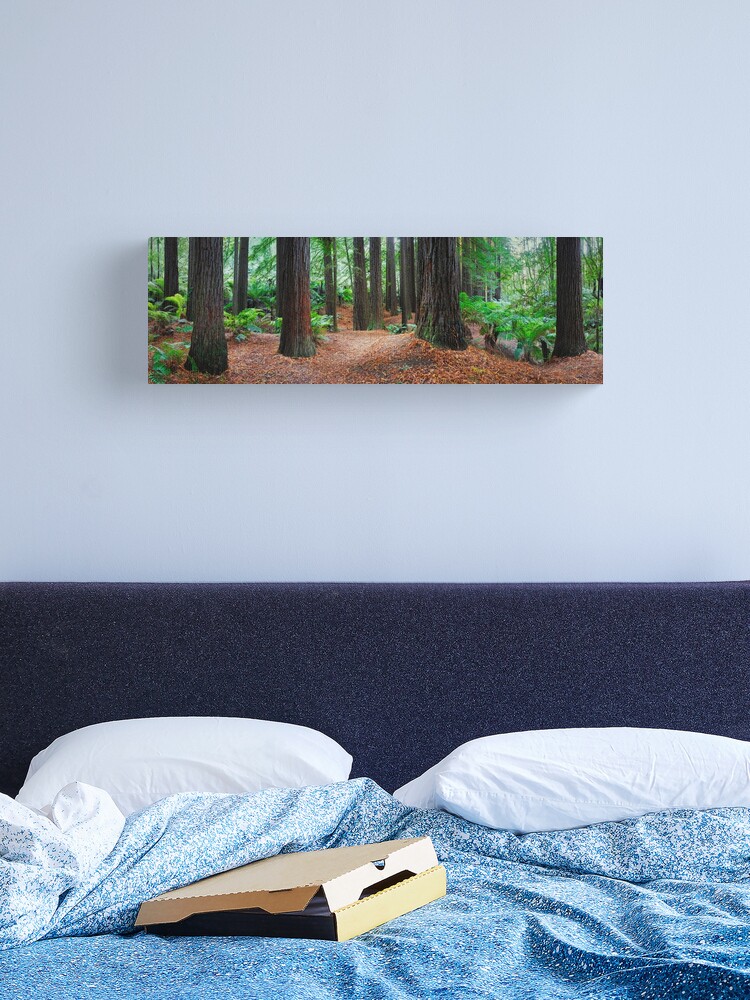 Thumbnail 2 of 3, Canvas Print, Redwood Forest, Otways, Great Ocean Road, Victoria, Australia designed and sold by Chockstone.