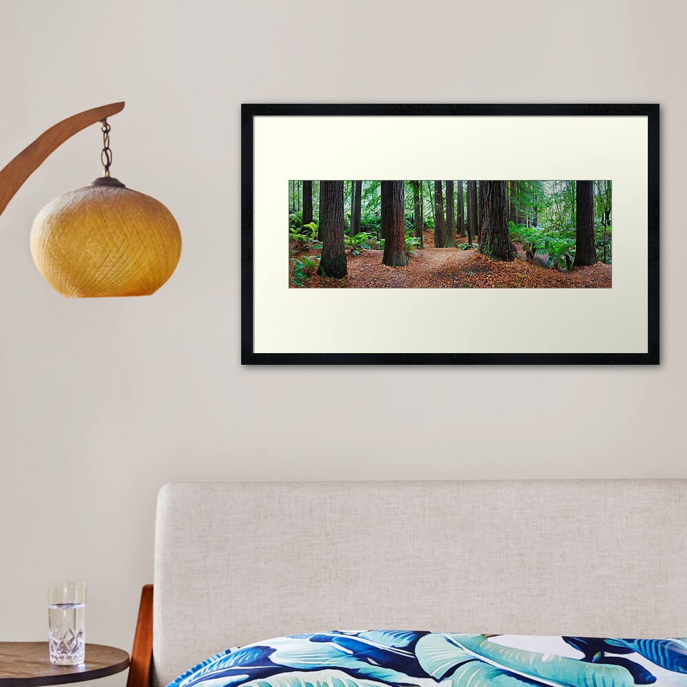 Redwood Forest, Otways, Great Ocean Road, Victoria, Australia Framed Art Print