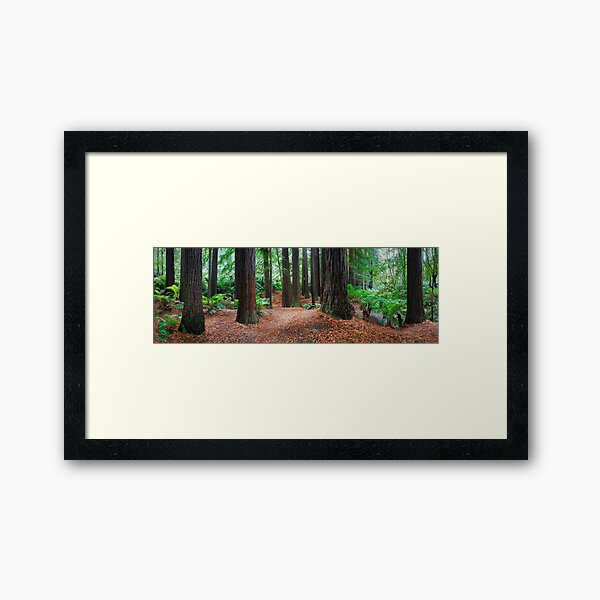 Framed Art Print
