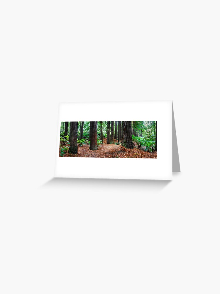 Thumbnail 1 of 2, Greeting Card, Redwood Forest, Otways, Great Ocean Road, Victoria, Australia designed and sold by Chockstone.