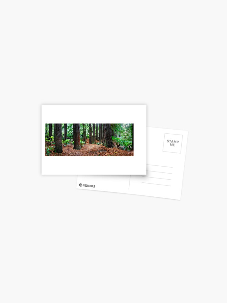 Thumbnail 1 of 2, Postcard, Redwood Forest, Otways, Great Ocean Road, Victoria, Australia designed and sold by Chockstone.
