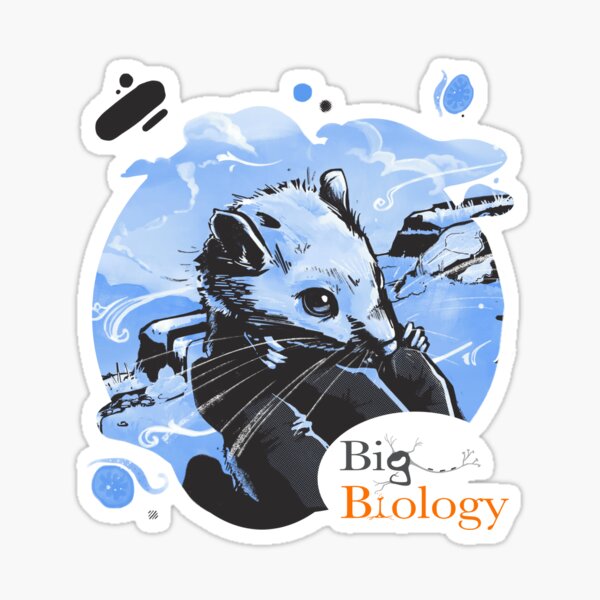 Item preview, What the flux? designed and sold by BigBiology.