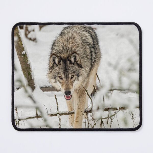 Item preview, Timber Wolf designed and sold by Michael Cummings.