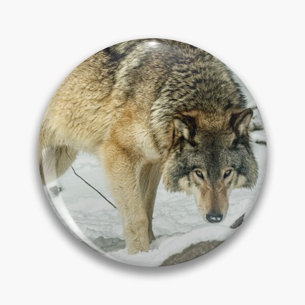 Artikelvorschau, Östlicher Grauwolf entworfen und verkauft von Michael Cummings.