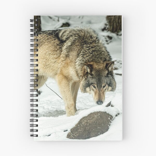 Item preview, Eastern Gray Wolf designed and sold by Michael Cummings.